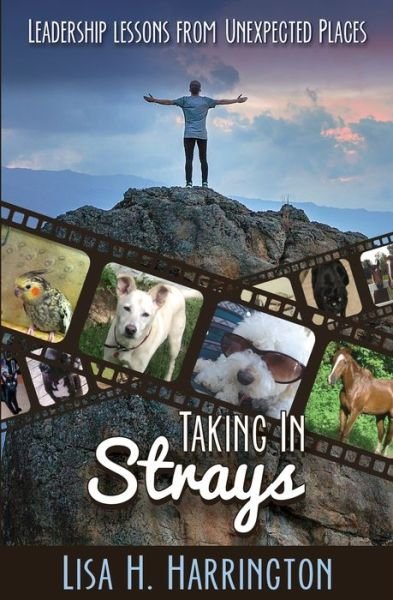 Cover for Lisa Harrington · Taking in Strays (Book) (2020)