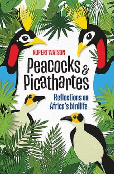Cover for Rupert Watson · Peacocks and Picathartes: Reflections on Africa's Birdlife (Paperback Book) (2020)