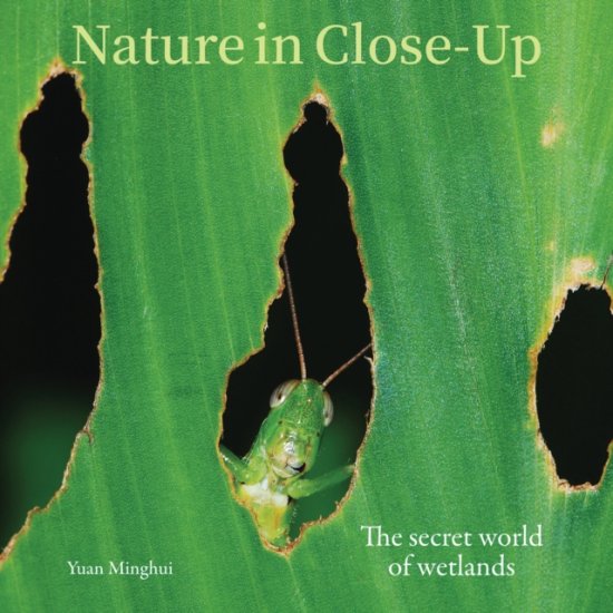 Cover for Nature in Close-Up (Hardcover Book) (2026)