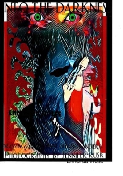 Cover for Enneirda Wolfe · Into The Darkness (Hardcover Book) (2019)