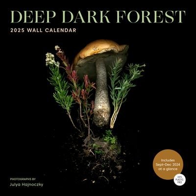 Cover for Julya Hajnoczky · Deep Dark Forest 2025 Wall Calendar (Book) (2024)