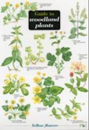 Cover for Richard Gulliver · Guide to Woodland Plants - Field Studies Council Occasional Publications S. (Map) (1998)