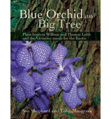 Cover for Sue Shephard · Blue Orchid and Big Tree: Plant Hunters William and Thomas Lobb and the Victorian Mania for the Exotic (Paperback Book) (2014)