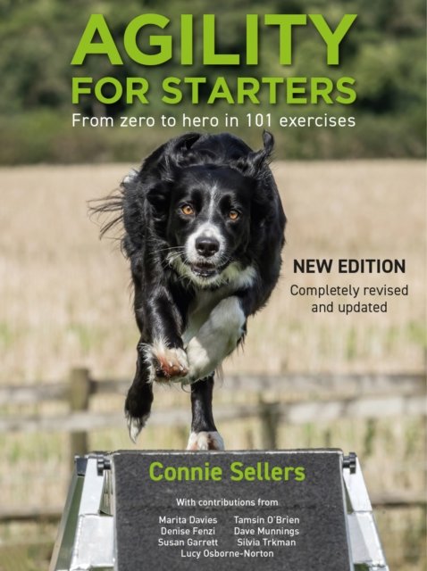 Cover for Connie Sellers · Agility For Starters: From zero to hero in 101 exercises (Paperback Book) (2021)