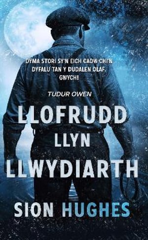 Cover for Sion Hughes · LLOFRUDD LLYN LLWYDIARTH - The DI John Thrillers (Paperback Book) (2025)