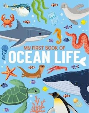 Cover for Eliza Jeffery · My First Book of Ocean Life: An Illustrated First Look at Ocean Life from Around the World - My First Book of (Hardcover Book) (2024)