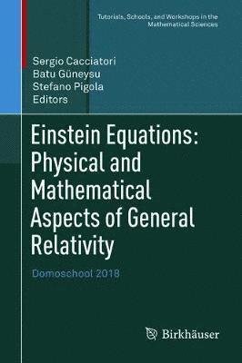 Einstein Equations Physical and Mathematical Aspects of General Relativity -  - 图书 - Springer Nature Switzerland AG - 9783030180607 - 2019年12月3日