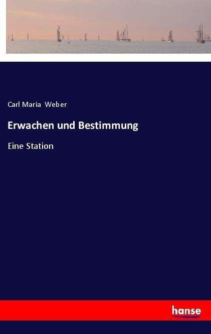 Cover for Weber · Erwachen und Bestimmung (Book)