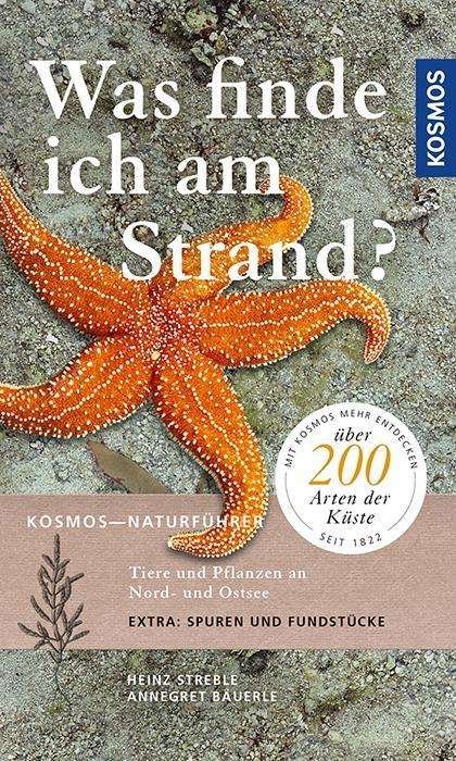 Cover for Streble · Was finde ich am Strand? (Book)