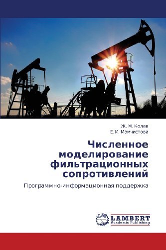 Cover for E. I. Mamchistova · Chislennoe Modelirovanie Fil'tratsionnykh Soprotivleniy: Programmno-informatsionnaya Podderzhka (Paperback Book) [Russian edition] (2012)