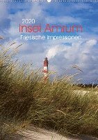 Cover for Dölling · Insel Amrum - Friesische Impres (Book)