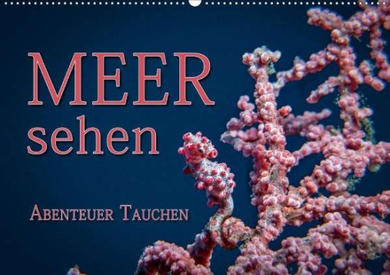 Meer sehen - Abenteuer Tauchen - Gödecke - 图书 -  - 9783670605607 - 