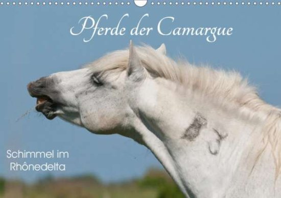 Cover for Bölts · Pferde der Camargue - Schimmel im (Book)