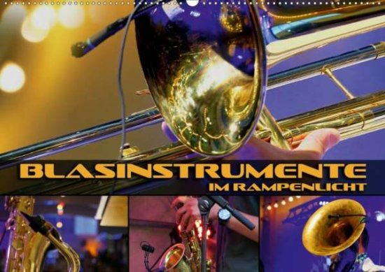 Cover for Bleicher · Blasinstrumente im Rampenlicht (Book)