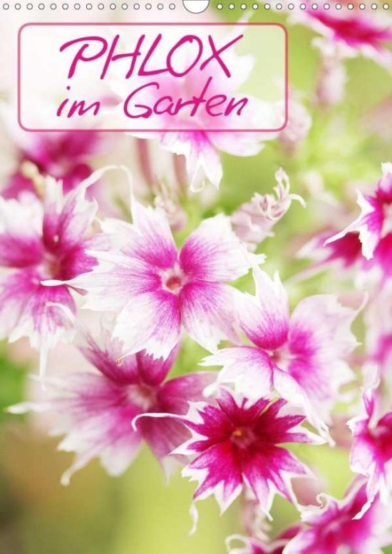 Cover for Kruse · Phlox im Garten (Wandkalender 202 (Book)