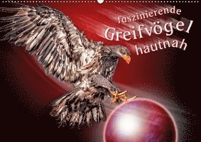 Cover for Gödecke · Faszinierende Greifvögel hautna (Book)