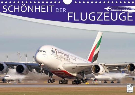 Cover for Philipp · Schönheit der Flugzeuge (Wandka (Book)