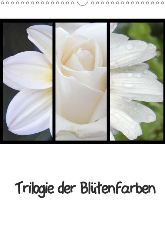 Cover for Busch · Trilogie der Blütenfarben (Wandka (Book)