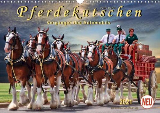 Cover for Roder · Pferdekutschen - Vorgänger des Au (Book)
