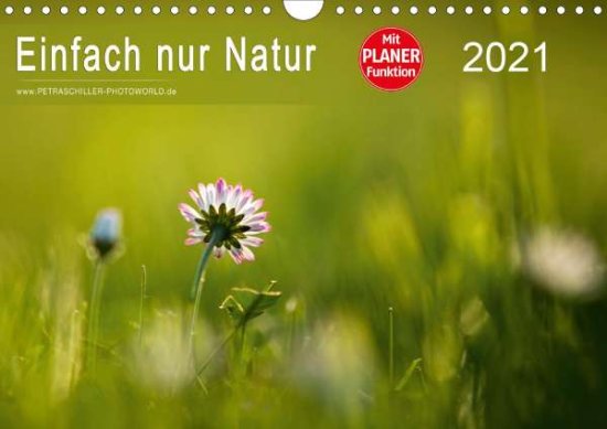 Cover for Schiller · Einfach nur Natur (Wandkalende (Book)