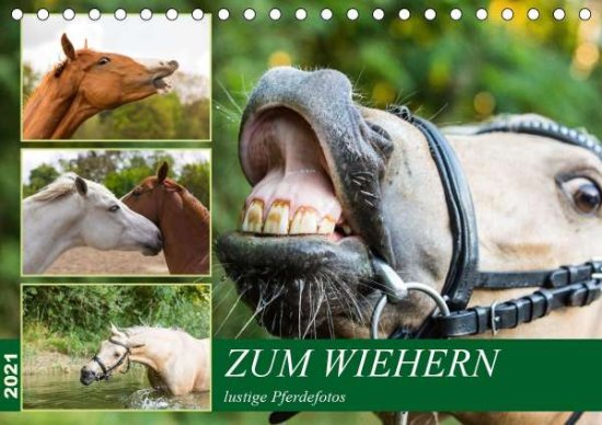 Cover for Laage · Zum Wiehern (Tischkalender 2021 D (Book)