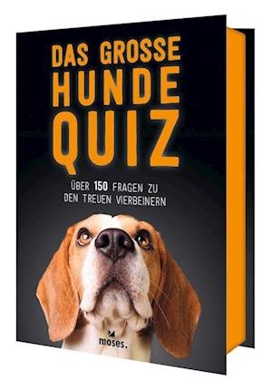Cover for Anita van Saan · Das große Hunde Quiz (Book) (2025)