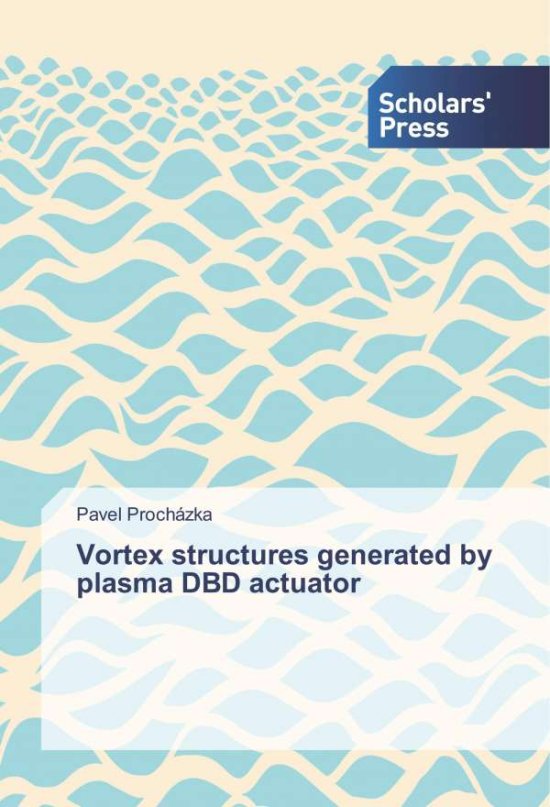 Vortex structures generated b - Procházka - 图书 -  - 9786138663607 - 