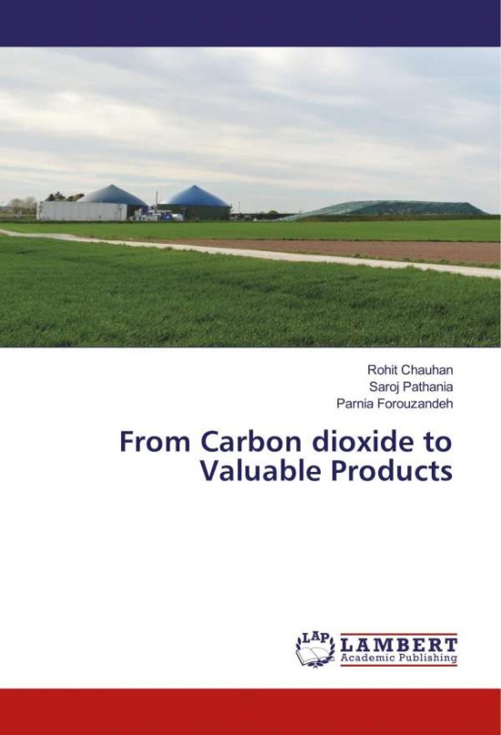 Cover for Chauhan · From Carbon dioxide to Valuable (Book)