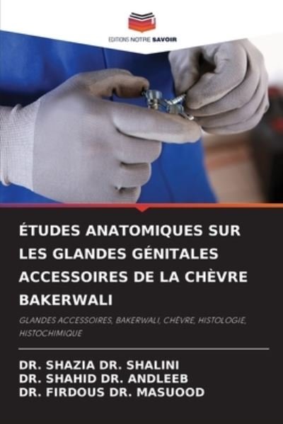 Cover for Shazia Shalini · Études Anatomiques Sur Les Glandes Génitales Accessoires De La Chèvre Bakerwali (Paperback Book) (2023)