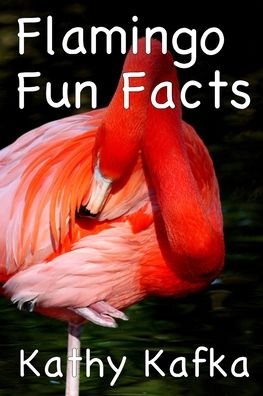 Cover for Kathy Kafka · Flamingo Fun Facts (Paperback Book) (2020)