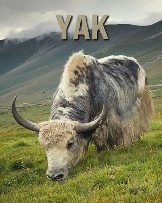 Cover for Kevin Ray · Yak (Paperback Book) (2020)