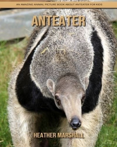 Cover for Heather Marshall · Anteater: An Amazing Animal Picture Book about Anteater for Kids (Paperback Book) (2021)