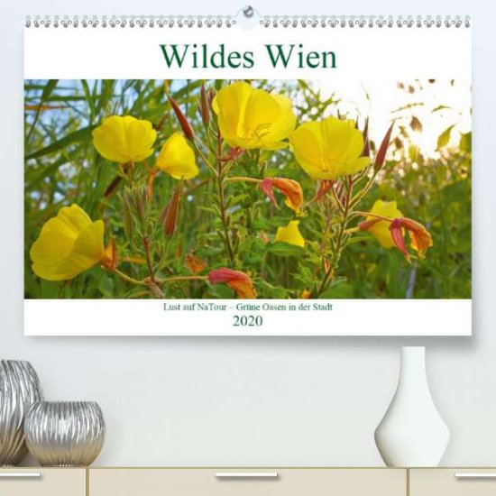 Cover for Riedmiller · Wildes Wien - Lust auf NaTou (Book)
