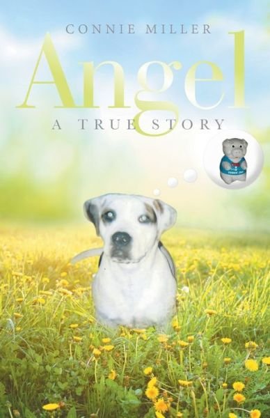 Cover for Connie Miller · Angel (Paperback Book) (2022)
