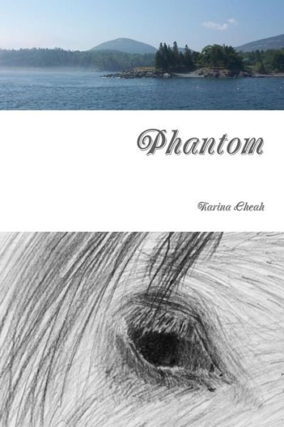 Cover for Karina Cheah · Phantom (Paperback Book) (2014)