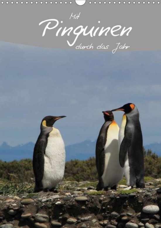 Cover for Köhler · Mit Pinguinen durch das Jahr (Wa (Book)