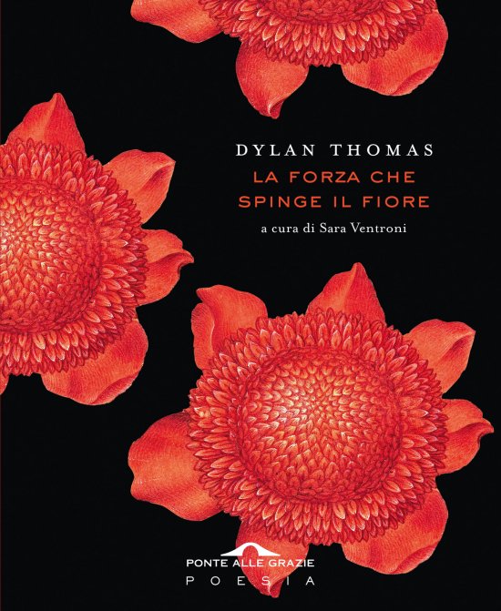 Cover for Dylan Thomas · La Forza Che Spinge Il Fiore (Book)