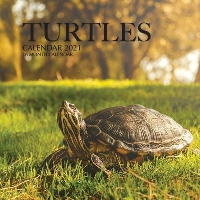 Cover for Golden Print · Turtles Calendar 2021 (Paperback Book) (2020)