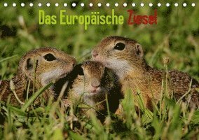 Cover for Erlwein · Das Europäische Ziesel (Tischka (Book)