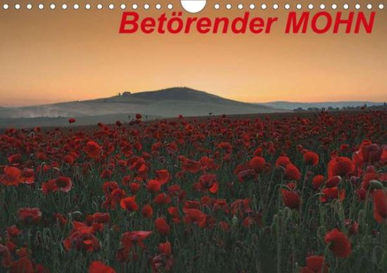 Cover for Schürholz · Betörender Mohn (Wandkalender (Book)