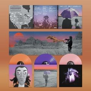 Cover for Gruff Rhys · American Interior (LP) [2025 Remastered Bonus Edition Deluxe Apricot / Purple / Rosé Vin edition] (2025)