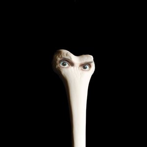 Cover for Juana Molina · Halo (CD) [Digipak] (2017)