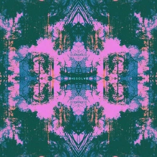 Cover for Tusks · Dissolve (LP) (2017)