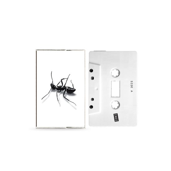Cover for Gazzelle · Indi (Musicassetta) (Cassette) (2025)
