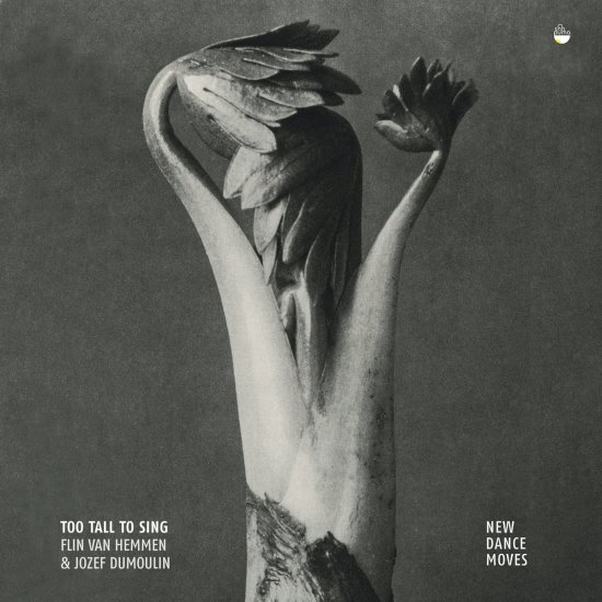 Cover for Van Hemmen / Dumoulin · Too Tall To Sing (CD) (2022)