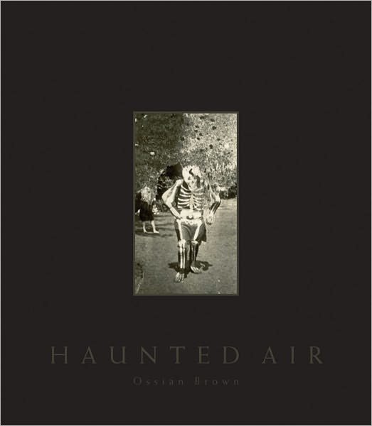 Cover for Ossian Brown · Haunted Air (Hardcover Book) (2010)