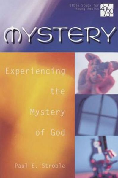 Cover for Paul E. Stroble · 20/30 Bible Study for Young Adults Mystery (Paperback Book) (2013)