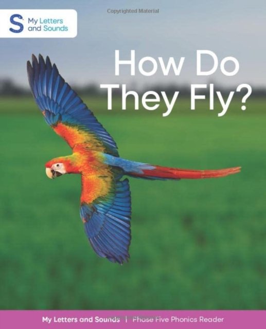 Cover for Sims, Schofield &amp; · How Do They Fly? (Paperback Book) (2022)