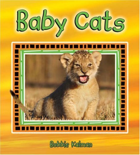 Cover for Bobbie Kalman · Baby Cats (It's Fun to Learn About Baby Animals) (Paperback Book) (2008)