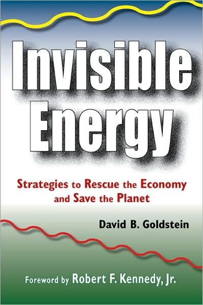 Cover for David Goldstein · Invisible Energy: Strategies to Rescue the Economy and Save the Planet (Paperback Book) (2010)